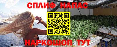 тгк Новокубанск